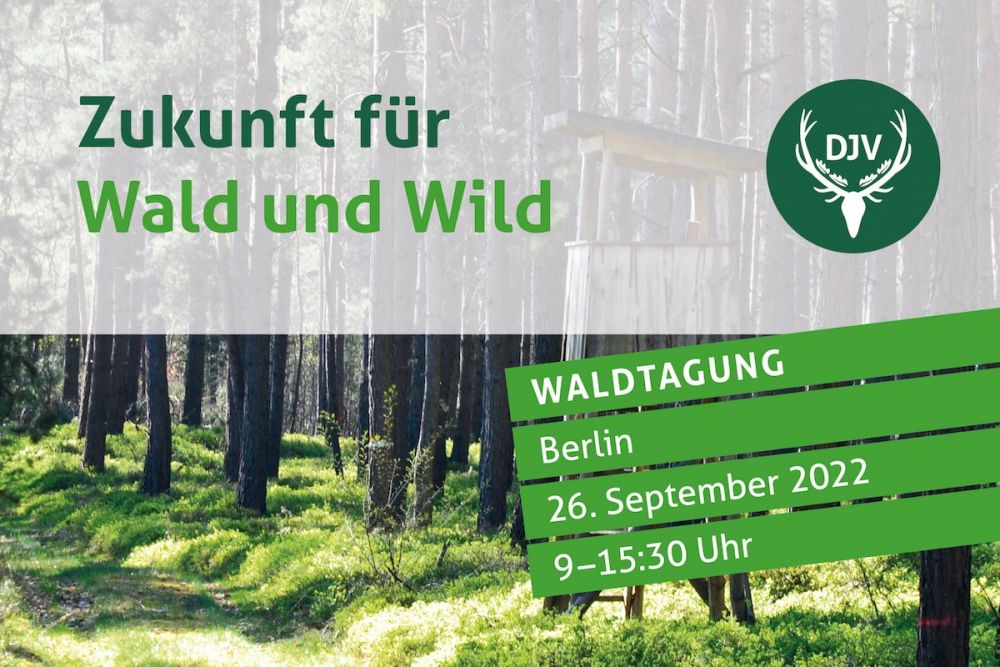 Zukunft für Wald und Wild