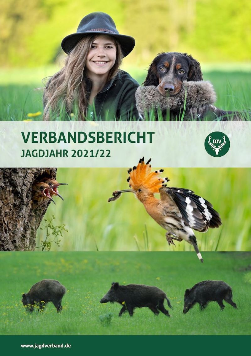 Verbandsbericht