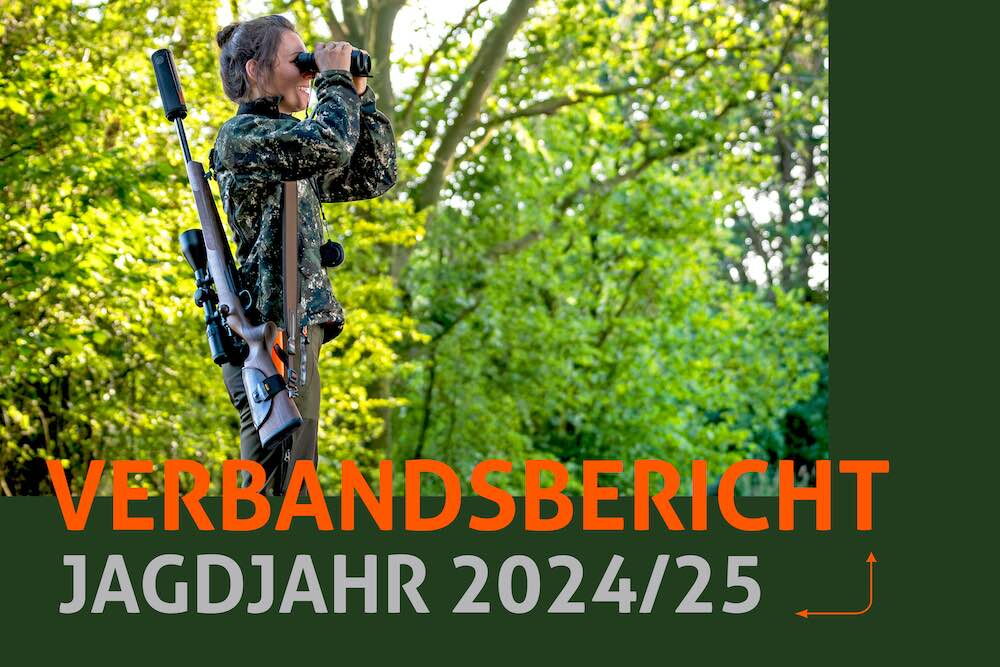 Verbandsbericht für das Jagdjahr 2024/25