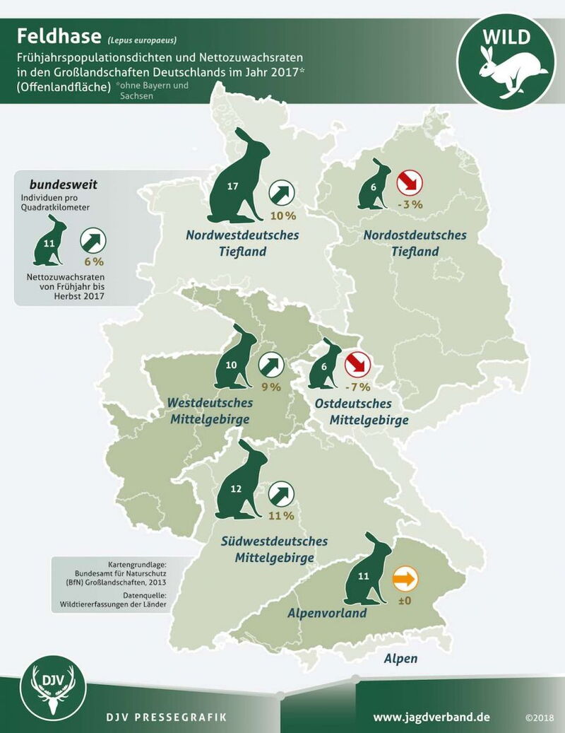 pressegrafik_feldhasenzahlung