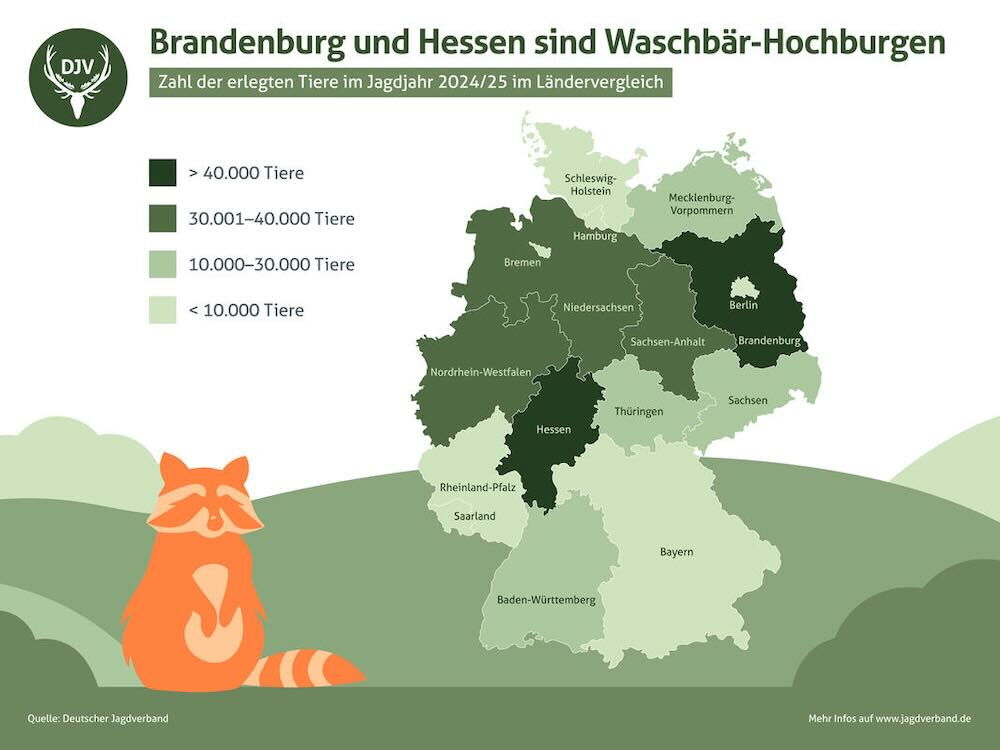Statistik Waschbär
