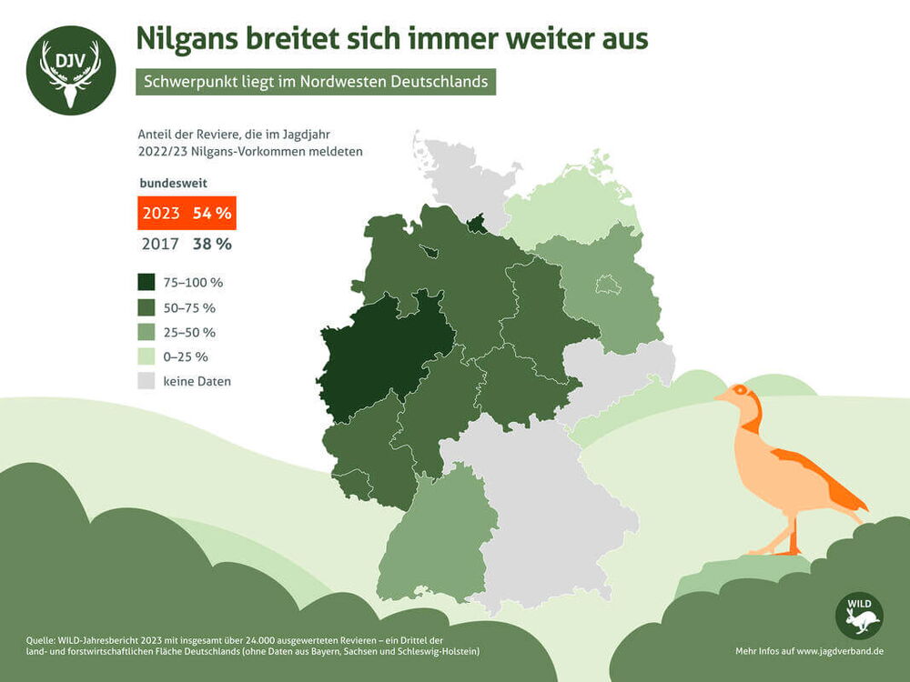 Nilgans Statistik