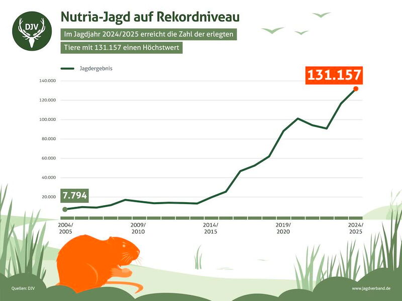 Grafik