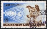 Laika – der erste Hund im Weltall ©Wikipedia