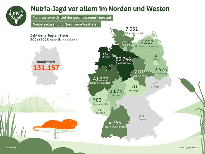 Grafik
