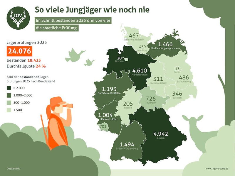 Grafik