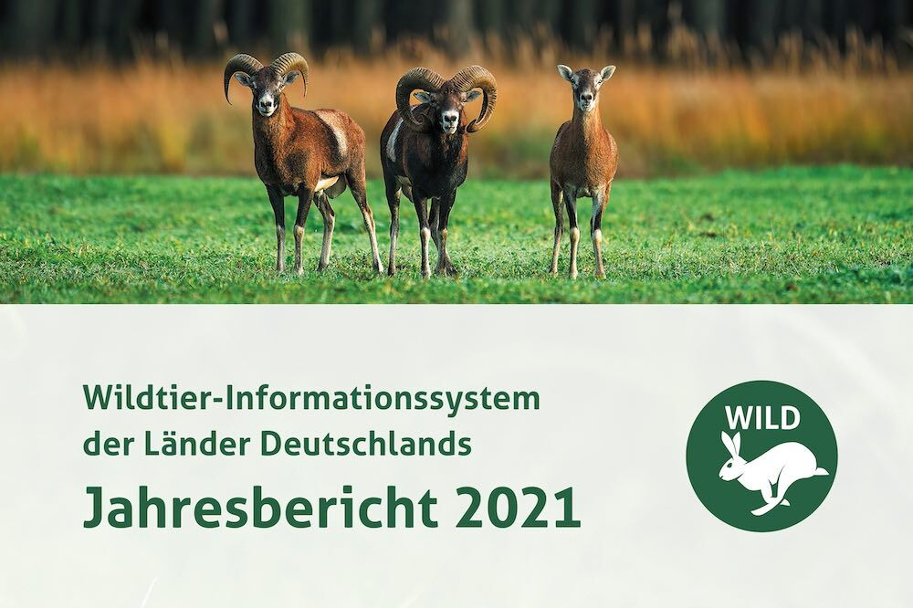 WILD-Bericht 2021