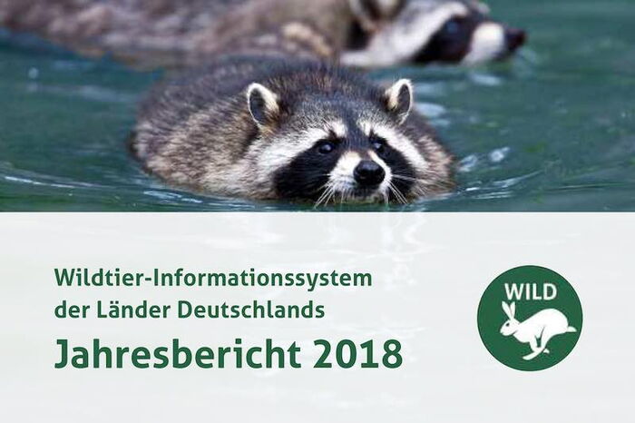 WILD-Bericht 2018