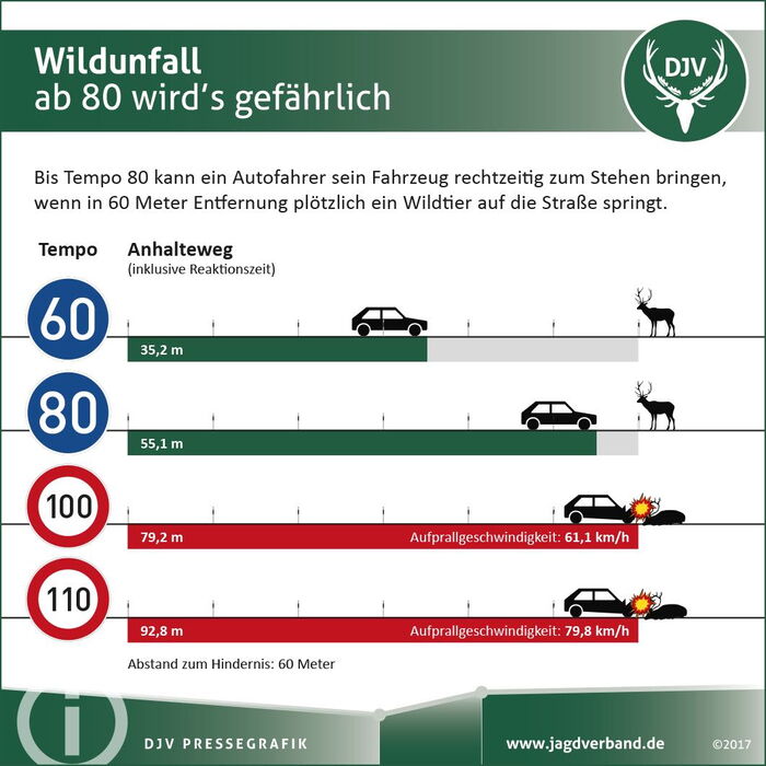 Grafik wildunfalle geschwindigkeit