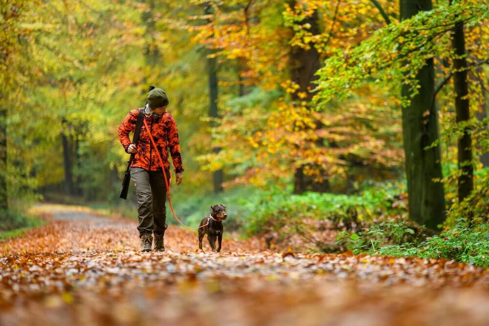 Jäger mit Hund