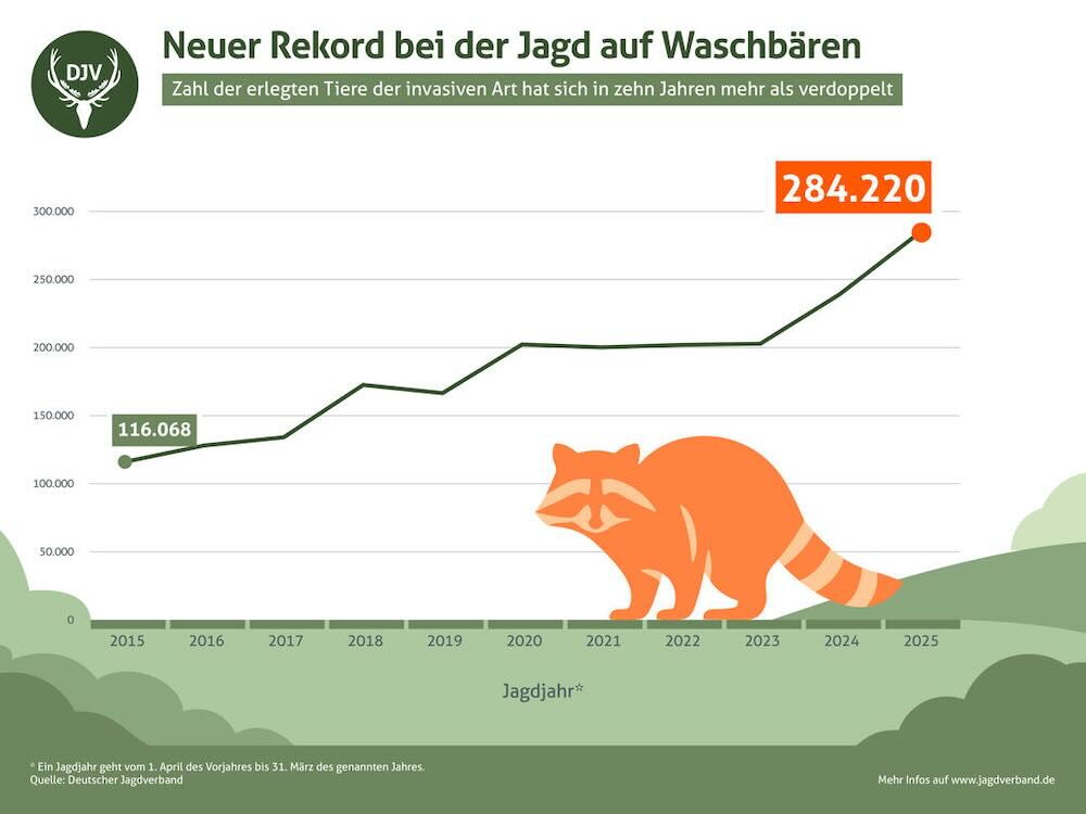 Statistik Waschbär