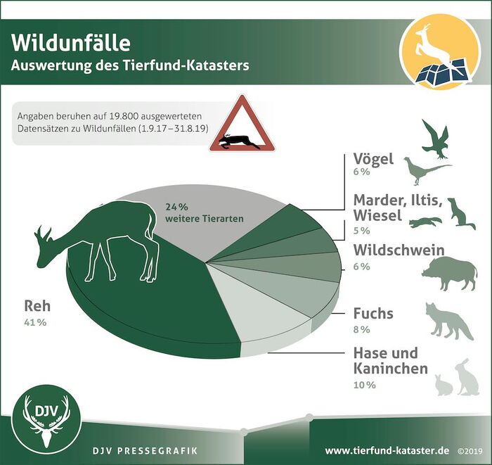 Statistik Wildunfälle