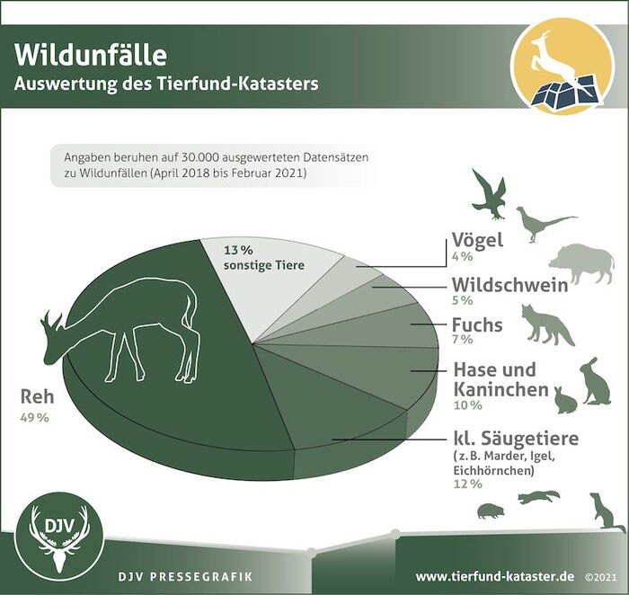 Wildunfälle