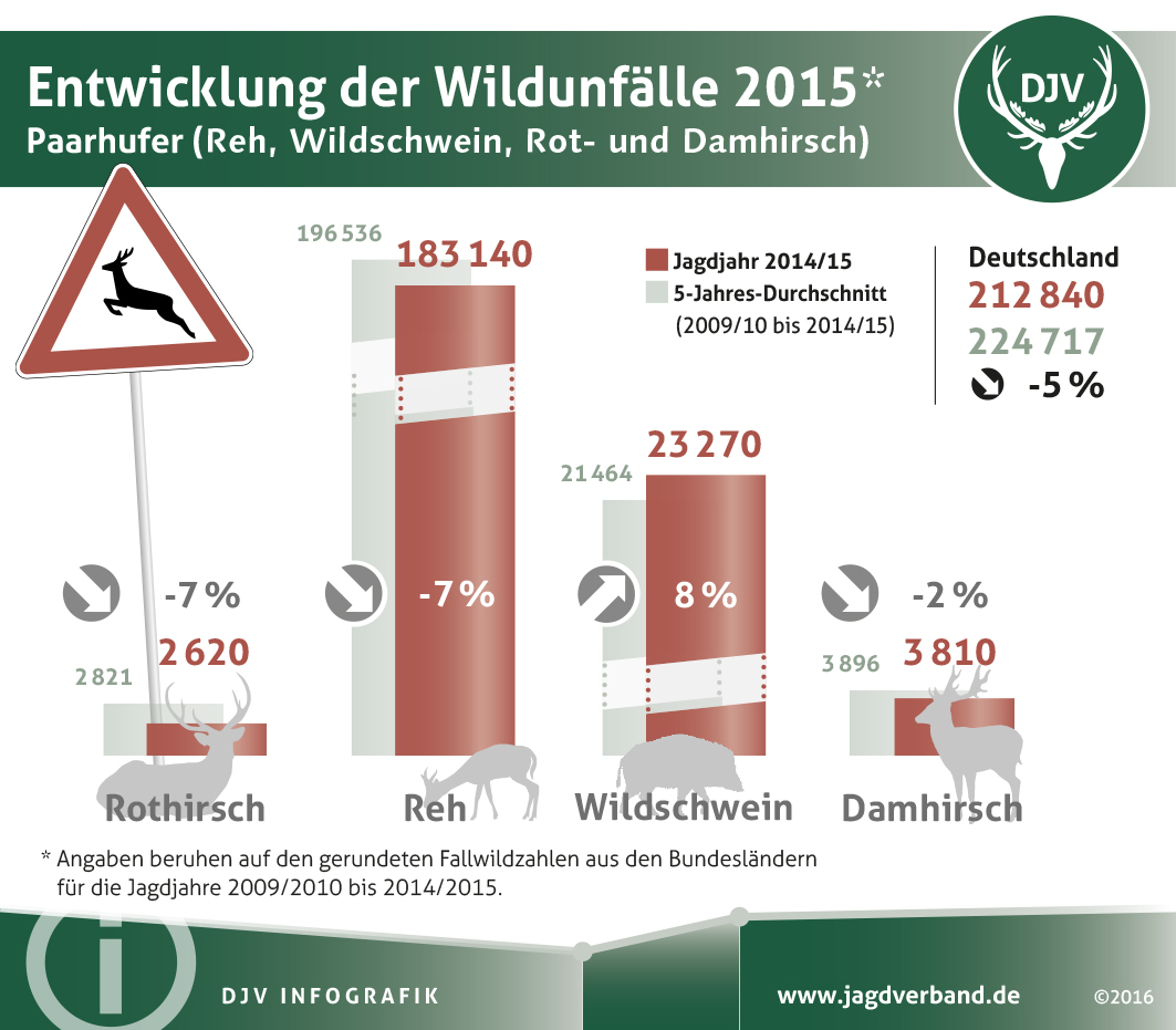 Wildunfälle